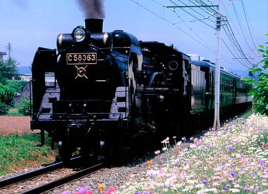 日本さくら名所１００選！秩父ＳＬ列車と長瀞桜のトンネル観賞